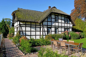 Reetdachfachwerkvilla am Wiesengrund, Amt Bergen Auf Rügen